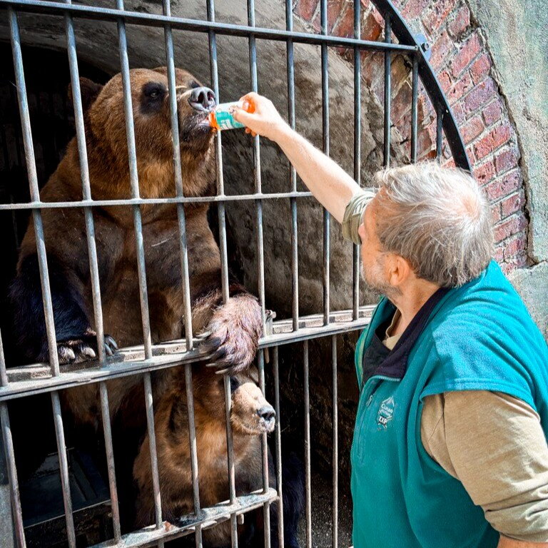 Ani si nedokážete představit, jak moc omega-3 medvědům pomáhají