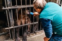 Medvědům v Českém Krumlově věnuje ročně NaturaMed rybí tuk za 180 000 korun!