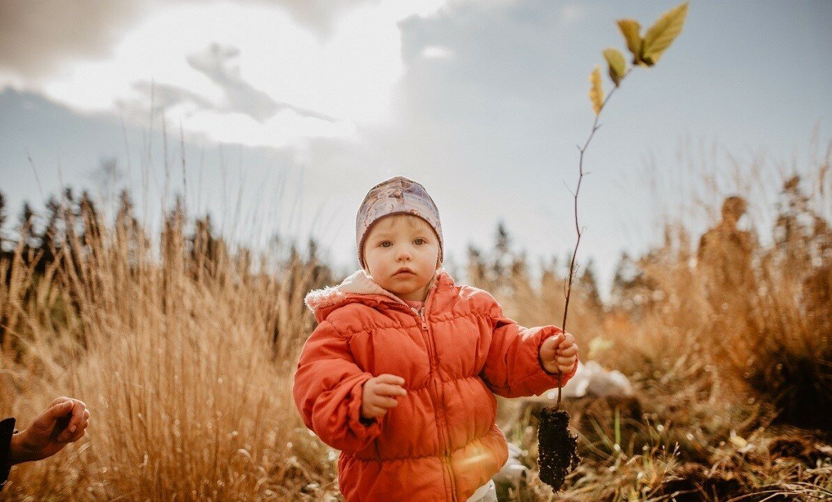 Všichni sází stromy, NaturaMed rovnou celý les!