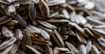 Omega-6