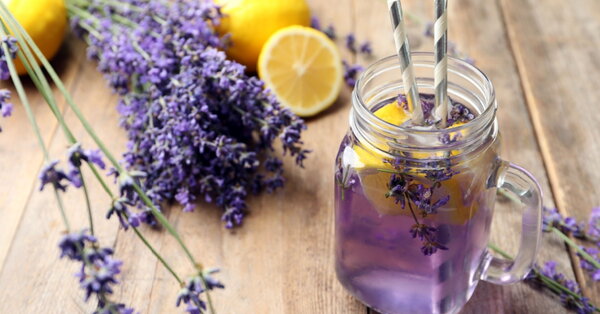 Levandulová limonáda