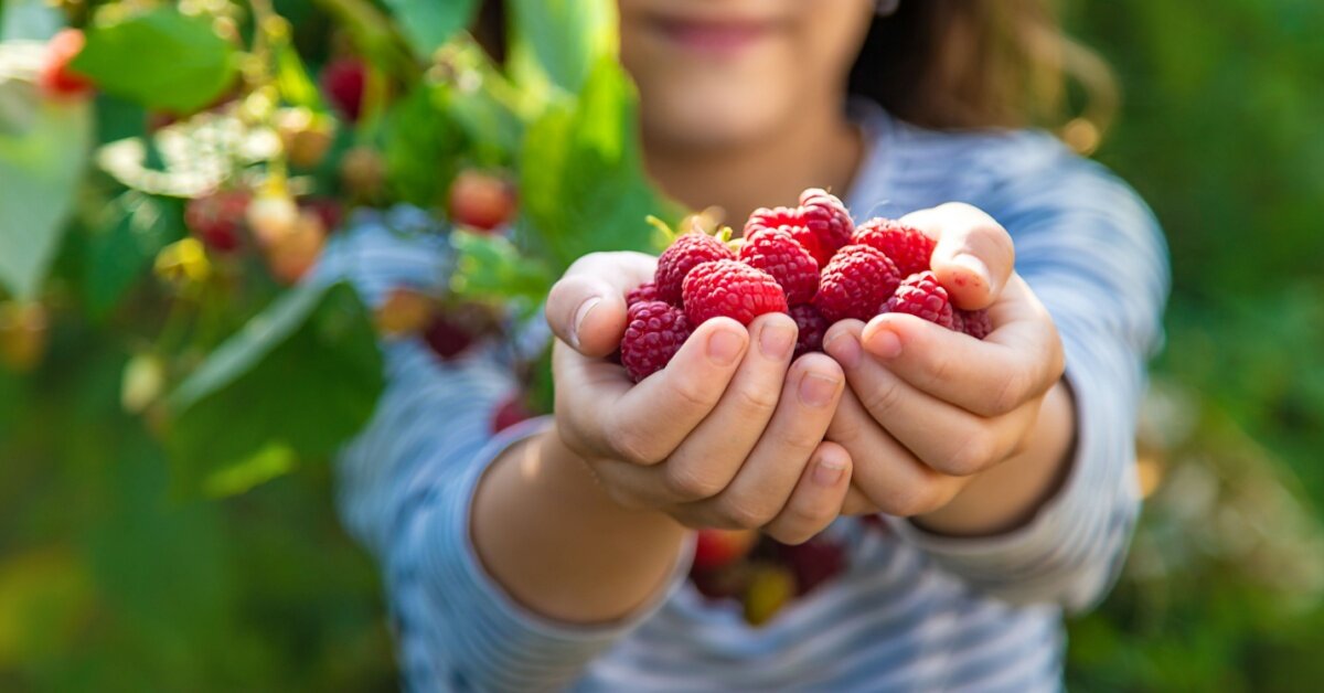 Přírodní antioxidanty v potravinách - projezte se ke zdraví!