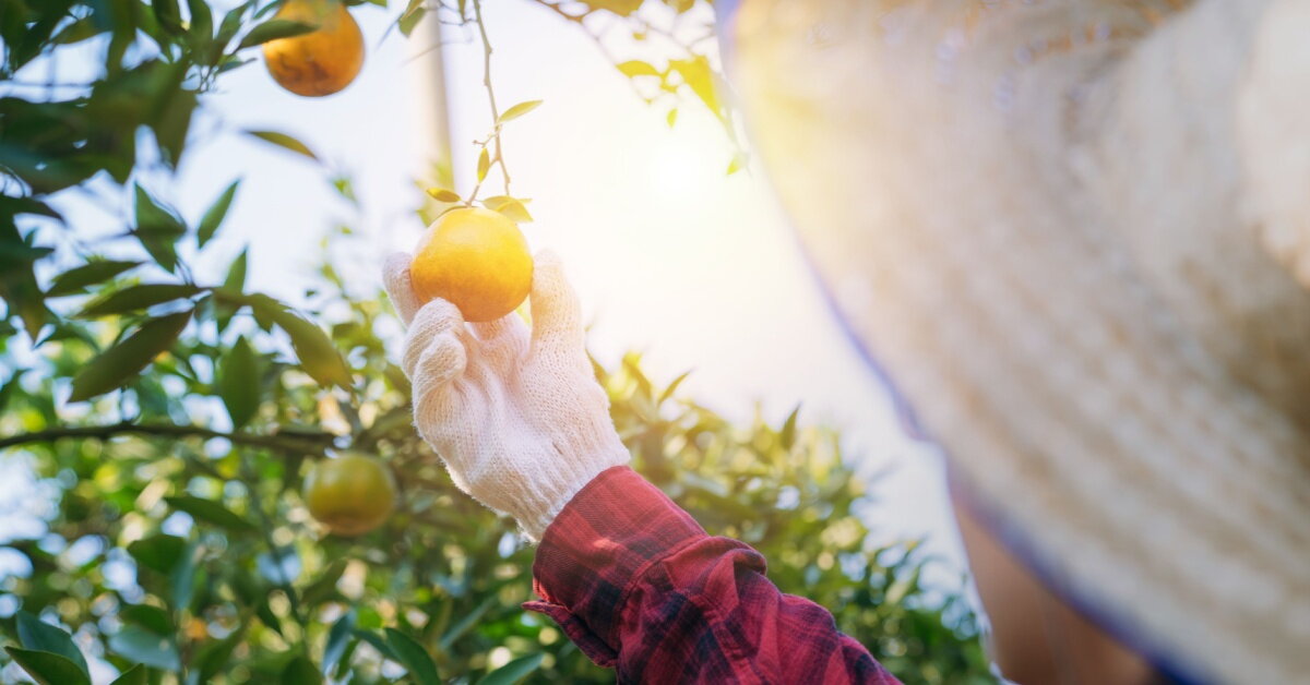 Přírodní vitamíny na imunitu ji pomohou přirozeně podpořit