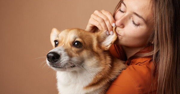 Omega-3 pro psy a kočky: moderní cesta ke zdravé srsti a vitalitě