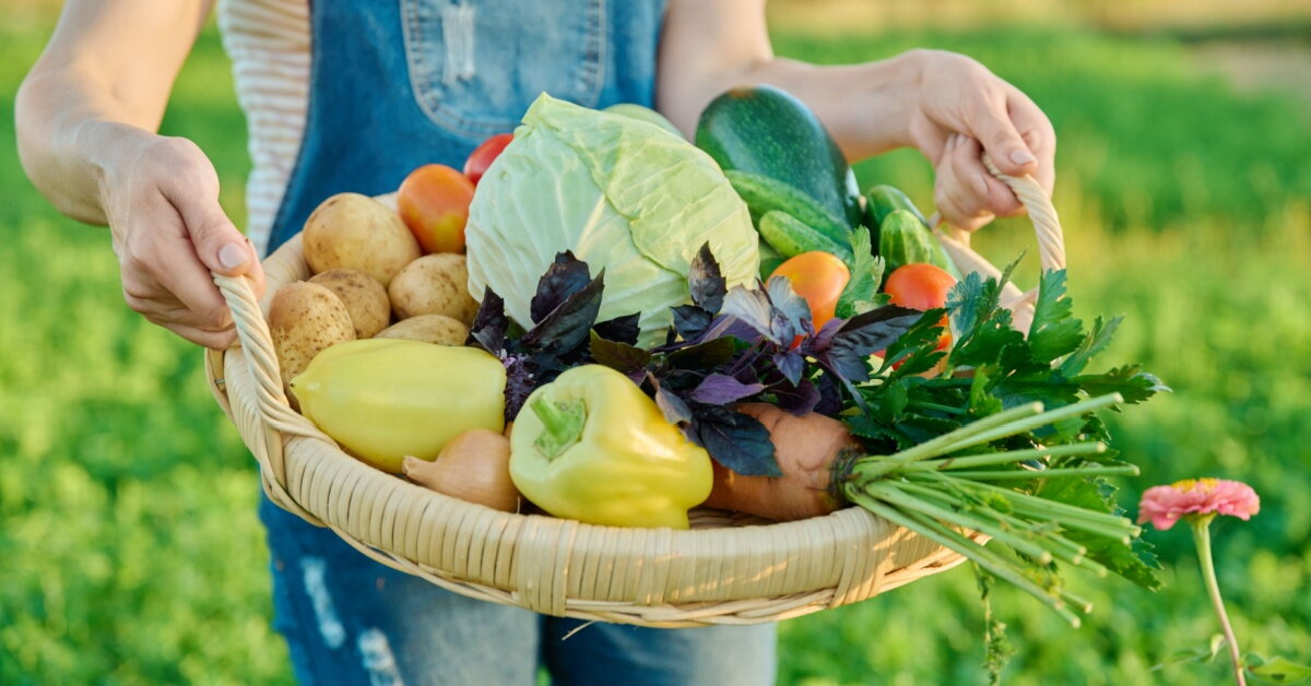 Antioxidanty v potravinách: Proč je tělo miluje a kde je najít
