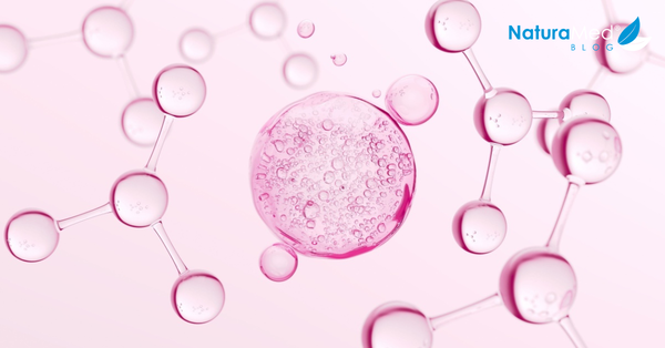 Co je koenzym Q10 a proč byste mu měli věnovat pozornost