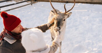 Jak slaví advent a Vánoce Sámové, původní obyvatelé Norska