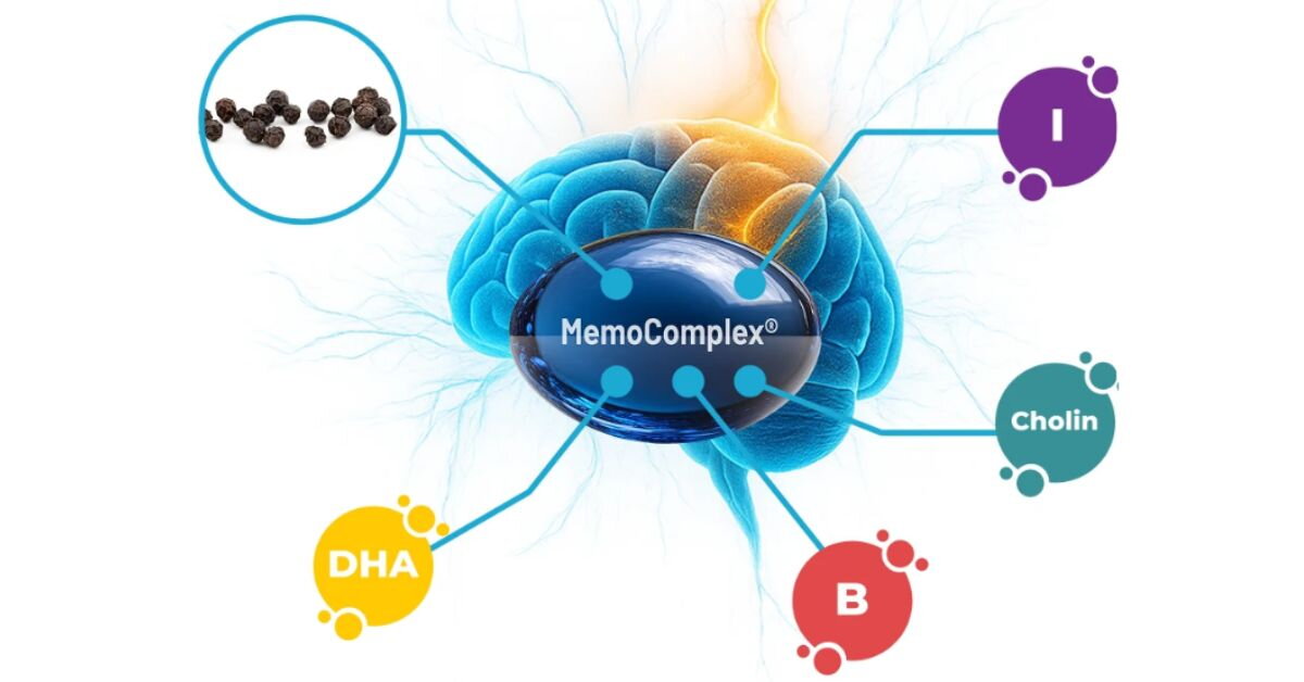 MemoComplex: Složení na míru pro podporu paměti