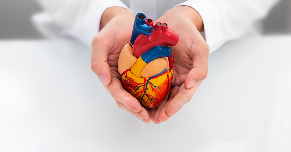 EPA kyselina: poklad pro zdravé srdce