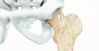 Vitamin K2 zvyšuje životaschopnost kmenových buněk, ukázala studie