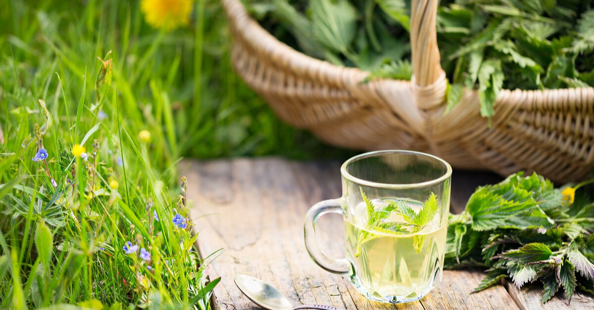 Jaké bylinky mohou obsahovat čaje na prostatu?