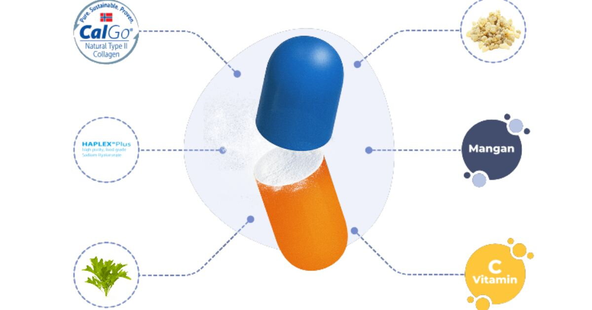 Složení Movisanu Kolagen II: Co obsahuje a na čem záleží?