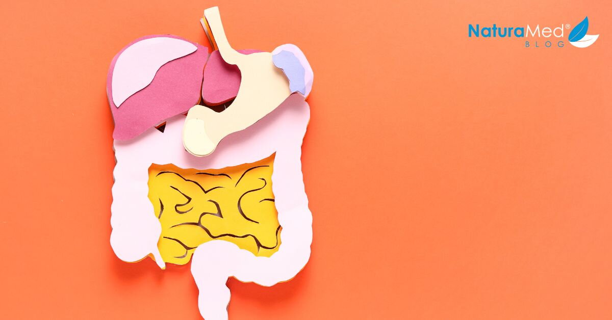 Trávicí systém: Jakou roli má vápník při trávení